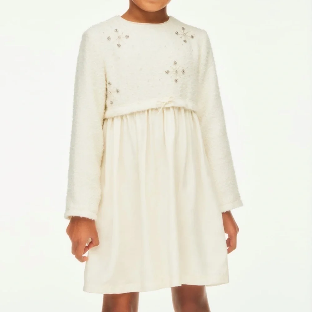 Zara Embroidered Yoke Dress Limited Edition
